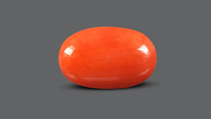 Natural Italian Red Coral (Moonga) 12.56 Carats