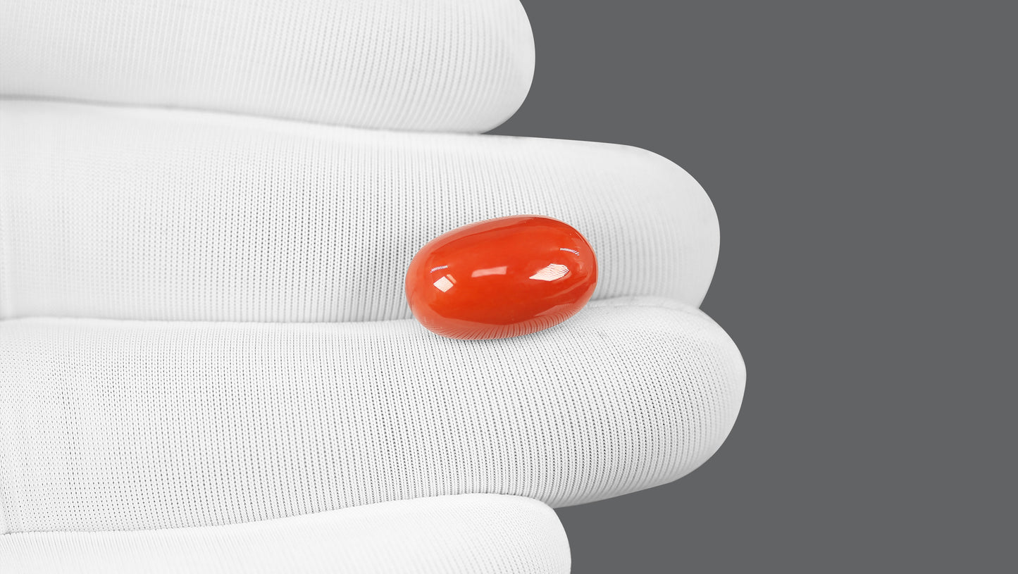Natural Italian Red Coral (Moonga) 12.56 Carats