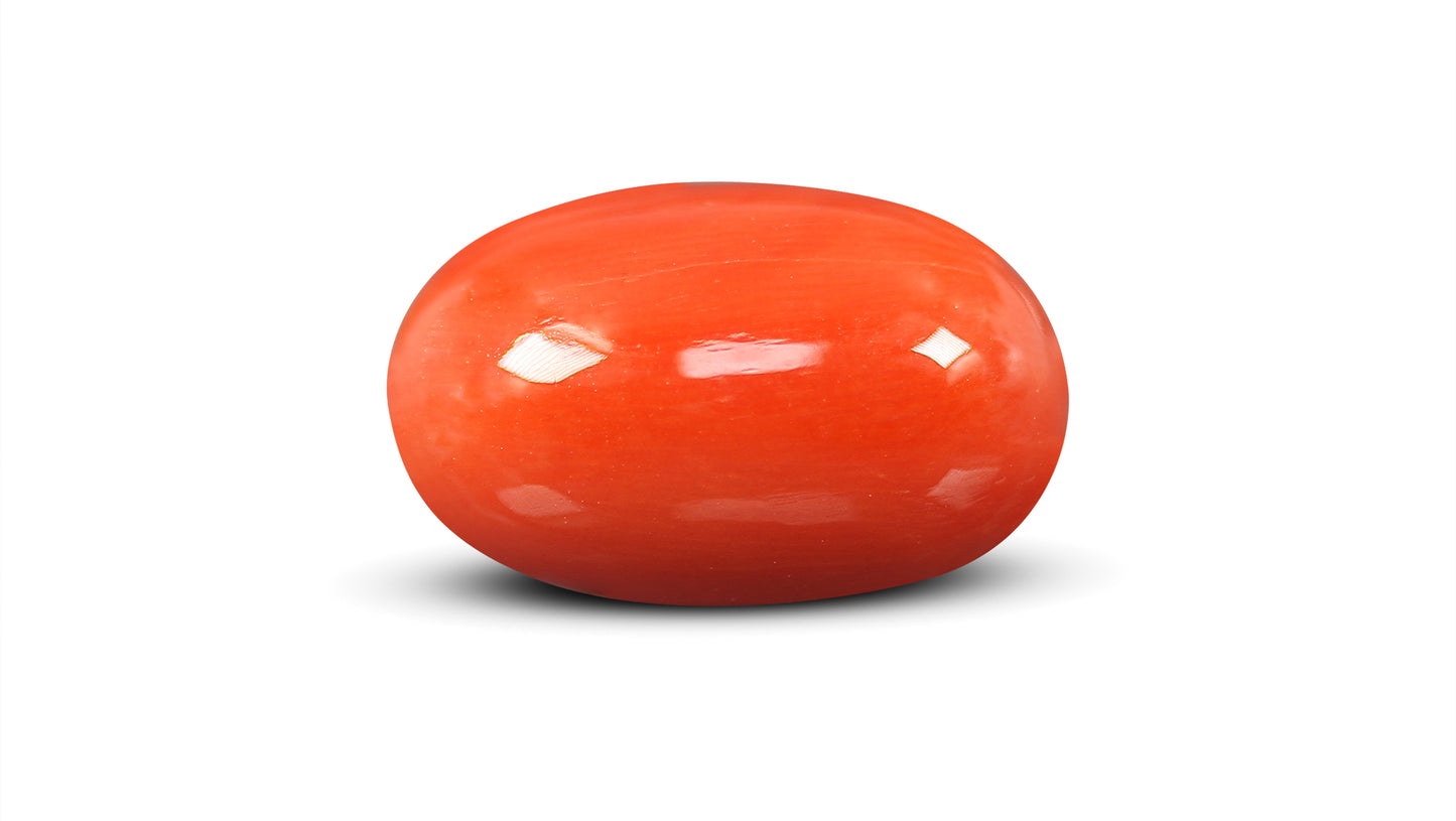 Natural Italian Red Coral (Moonga) 12.56 Carats