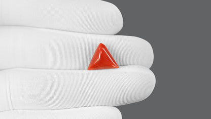 Natural Italian Red Coral (Moonga) 5.67 Carats