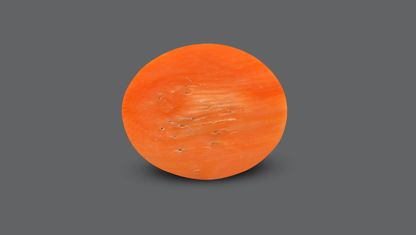 Japanese Red Coral (Moonga) 14.11 Carats