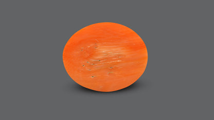 Japanese Red Coral (Moonga) 14.11 Carats