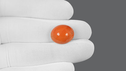 Japanese Red Coral (Moonga) 14.11 Carats