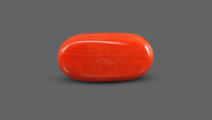 Natural Italian Red Coral (Moonga) 15.82 Carats