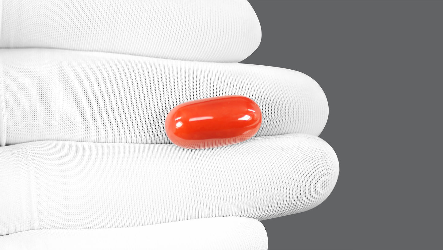 Natural Italian Red Coral (Moonga) 15.82 Carats