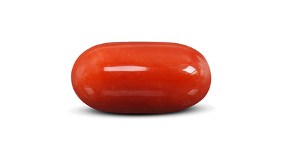 Natural Italian Red Coral (Moonga) 15.82 Carats