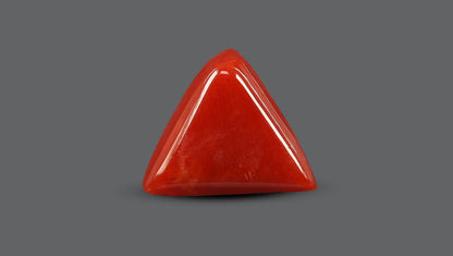 Natural Italian Red Coral (Moonga) 5.68 Carats