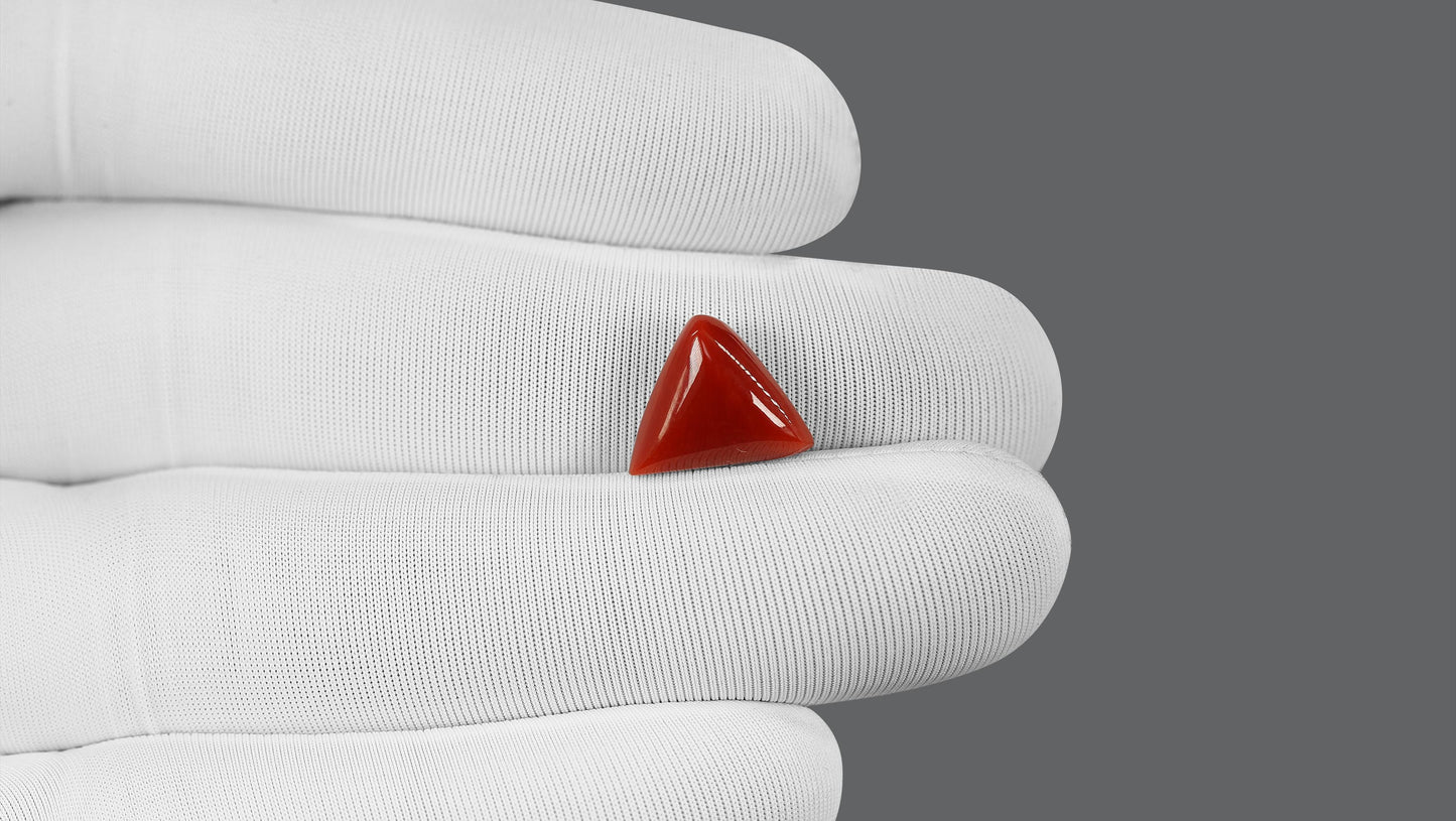 Natural Italian Red Coral (Moonga) 5.68 Carats