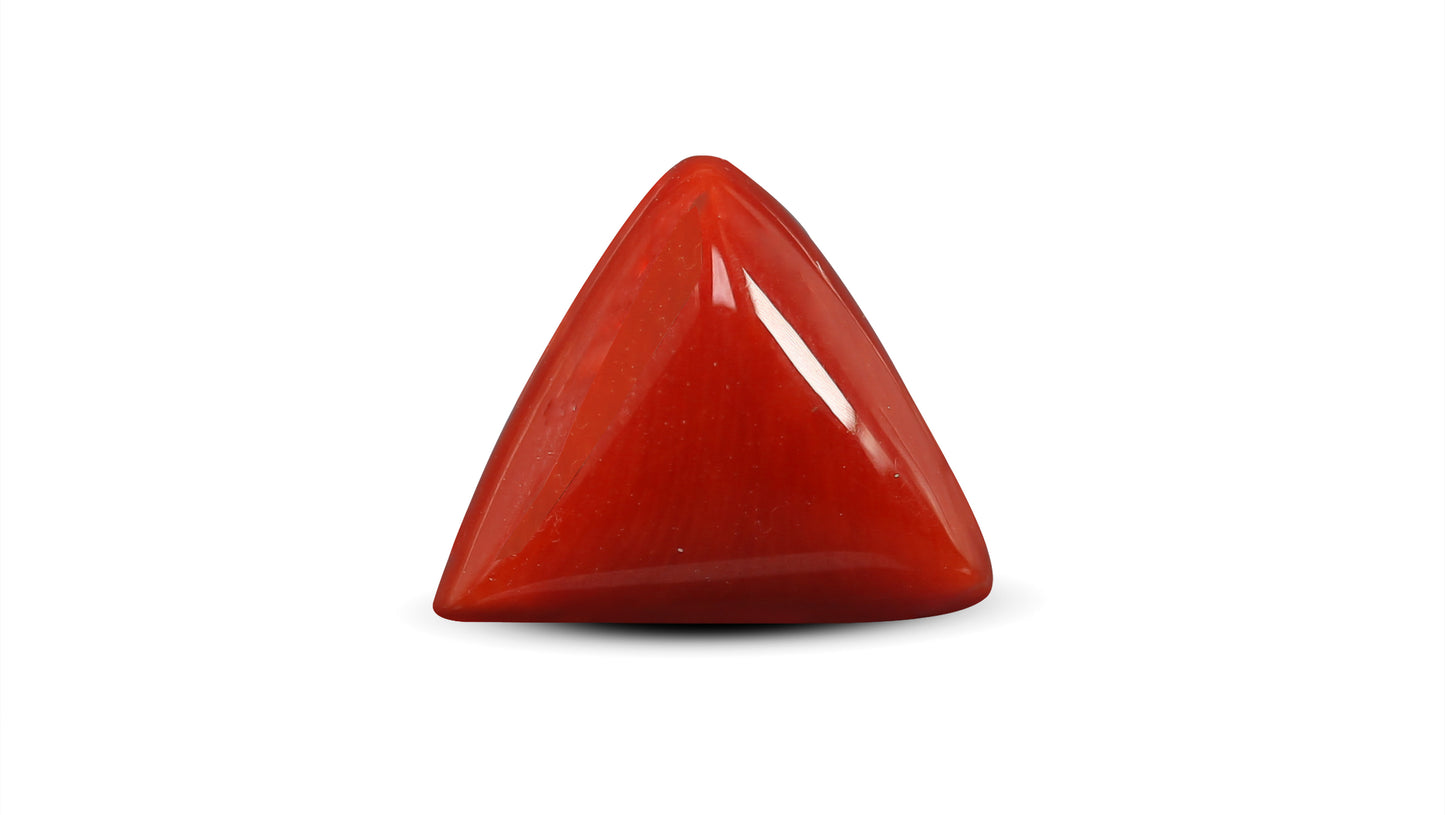Natural Italian Red Coral (Moonga) 5.68 Carats