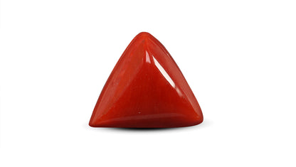 Natural Italian Red Coral (Moonga) 5.68 Carats