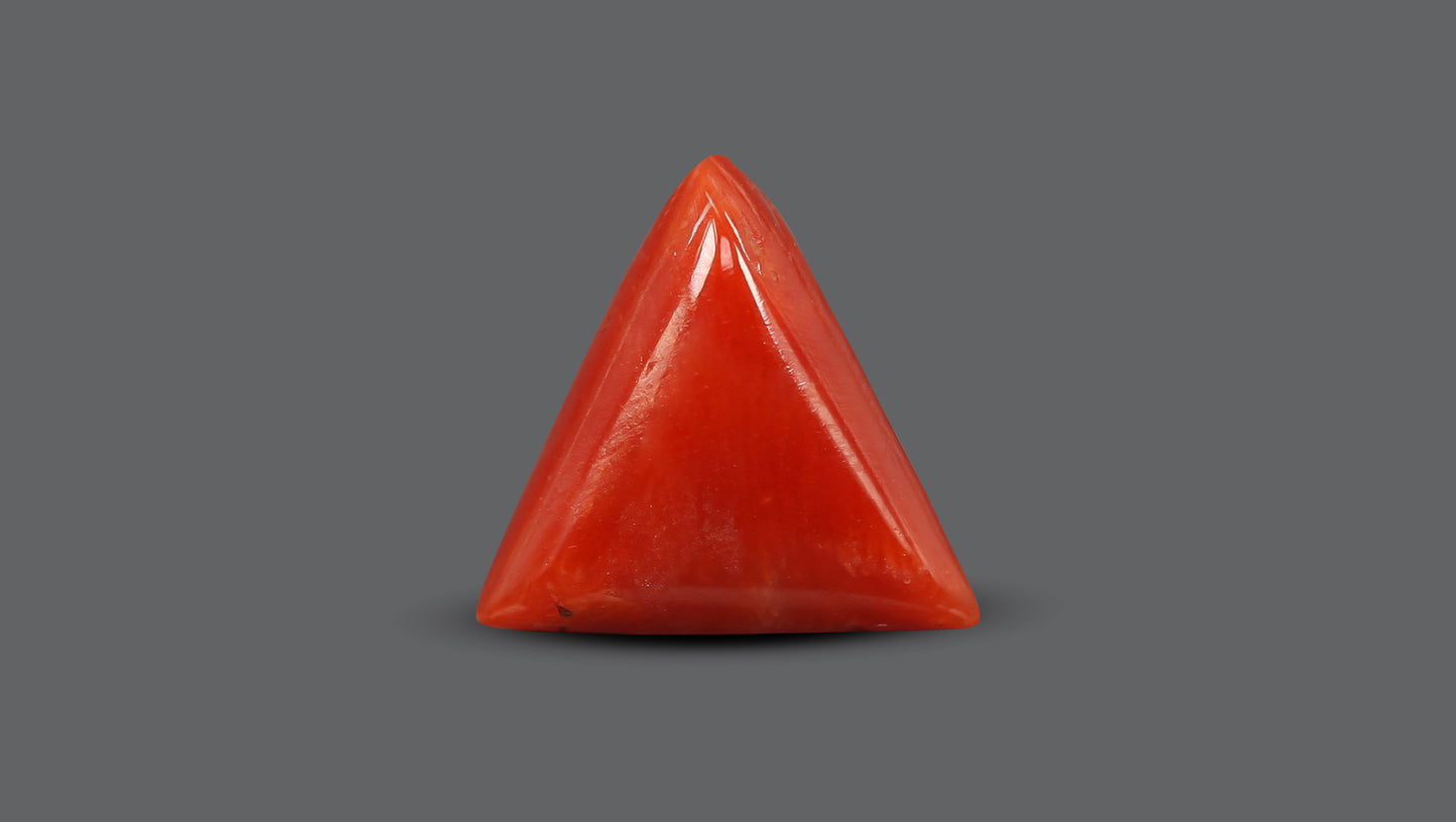 Natural Italian Red Coral (Moonga) 5.64 Carats