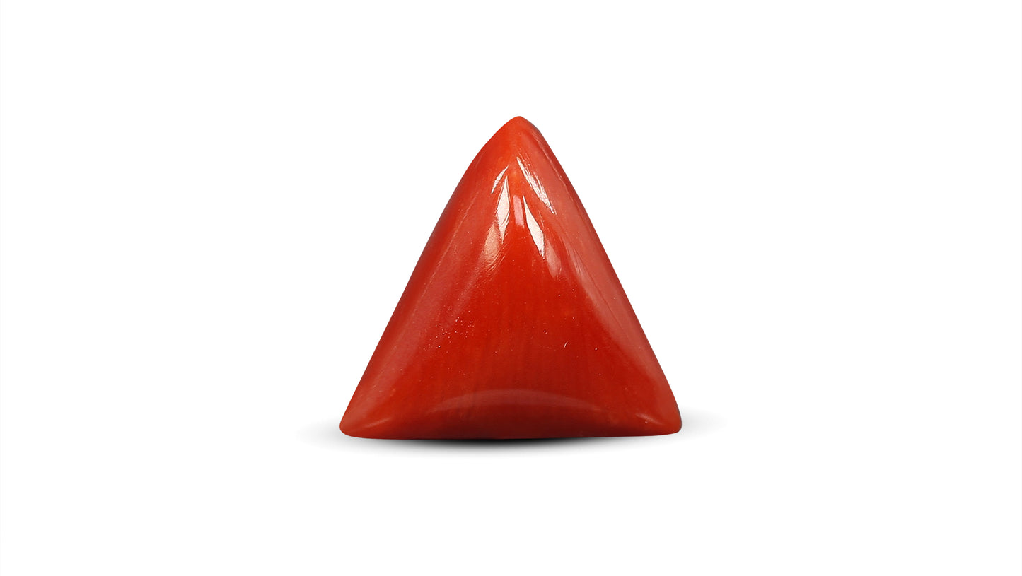 Natural Italian Red Coral (Moonga) 5.64 Carats