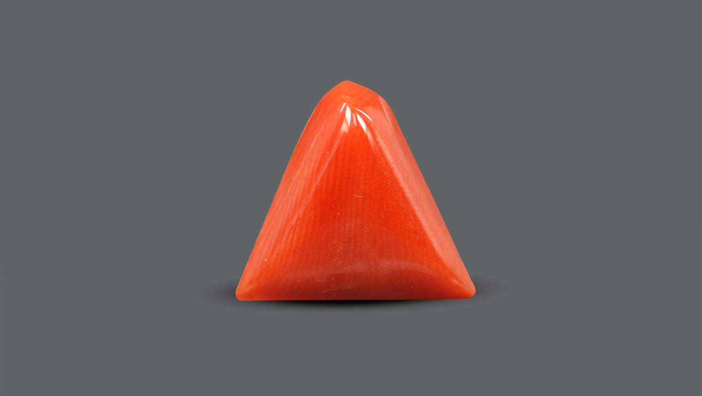 Natural Italian Red Coral (Moonga) 6.43 Carats