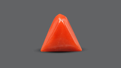 Natural Italian Red Coral (Moonga) 6.43 Carats