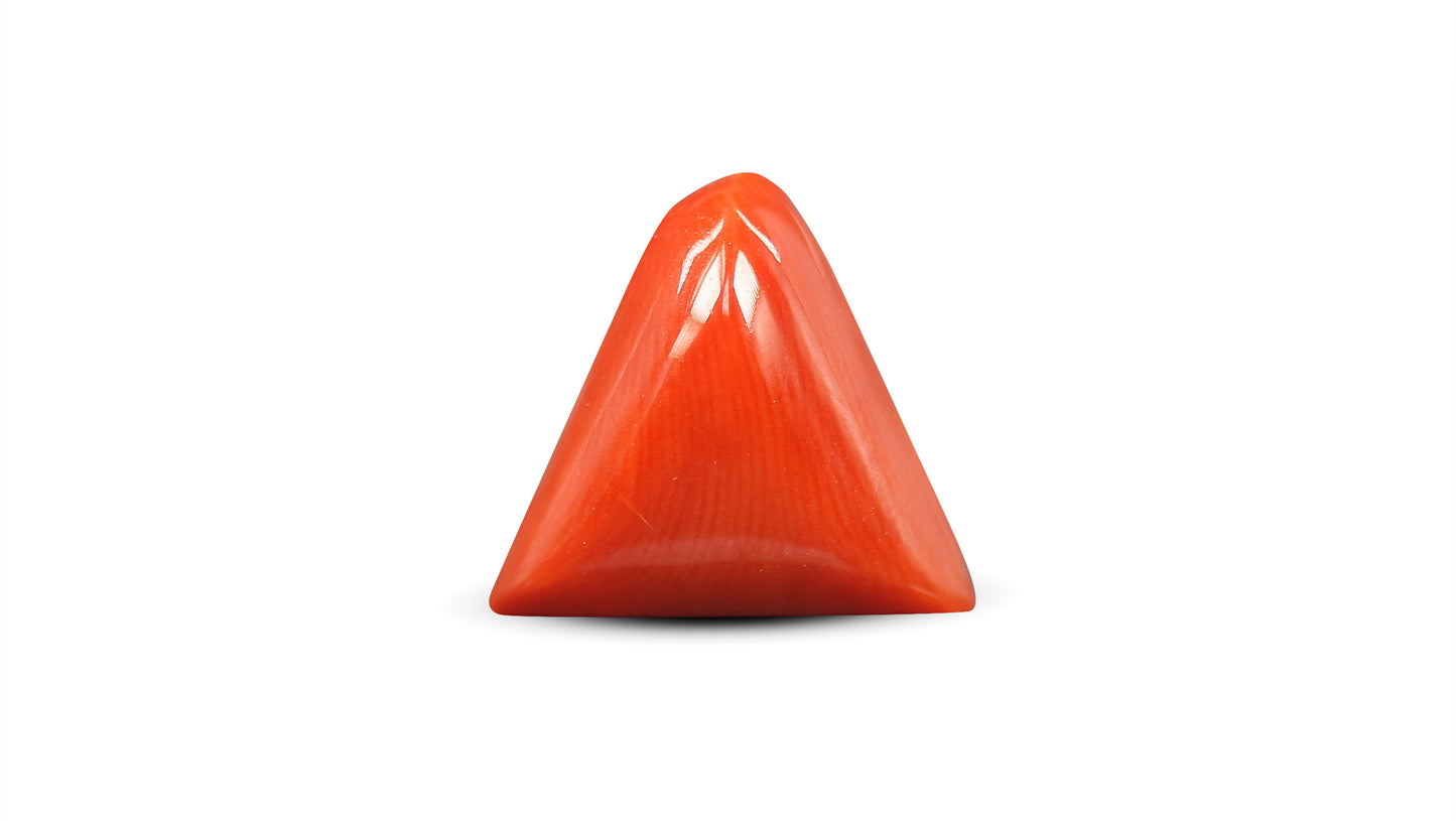 Natural Italian Red Coral (Moonga) 6.43 Carats
