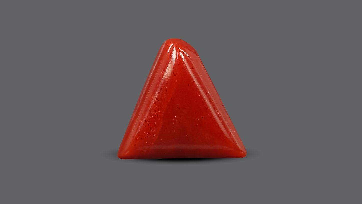 Natural Italian Red Coral (Moonga) 5.91 Carats