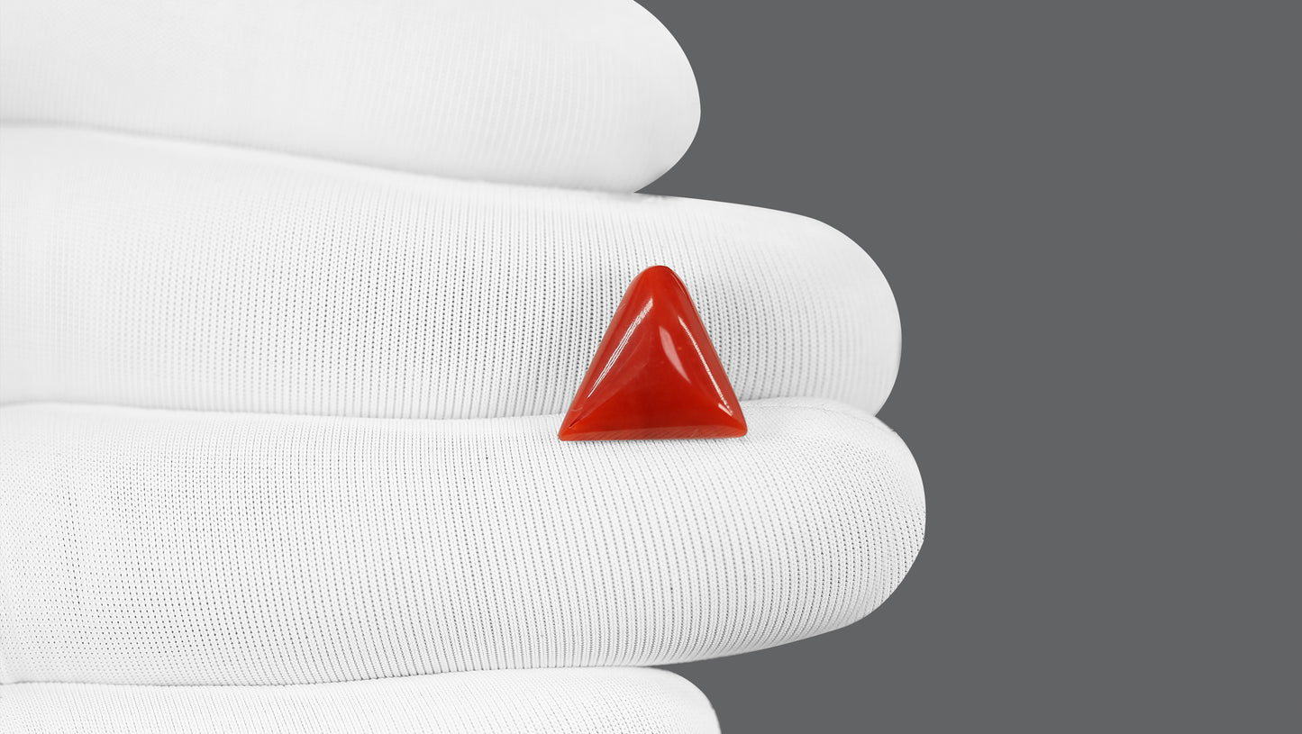 Natural Italian Red Coral (Moonga) 5.91 Carats