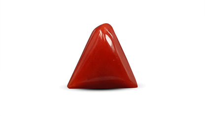 Natural Italian Red Coral (Moonga) 5.91 Carats