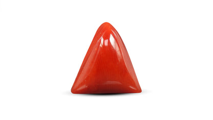 Natural Italian Red Coral (Moonga) 5.56 Carats