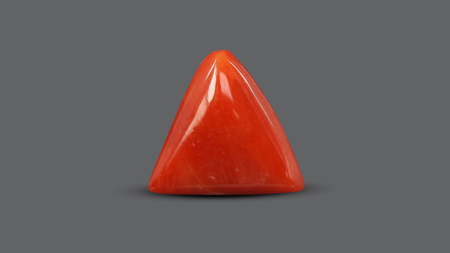 Natural Italian Red Coral (Moonga) 5.84 Carats