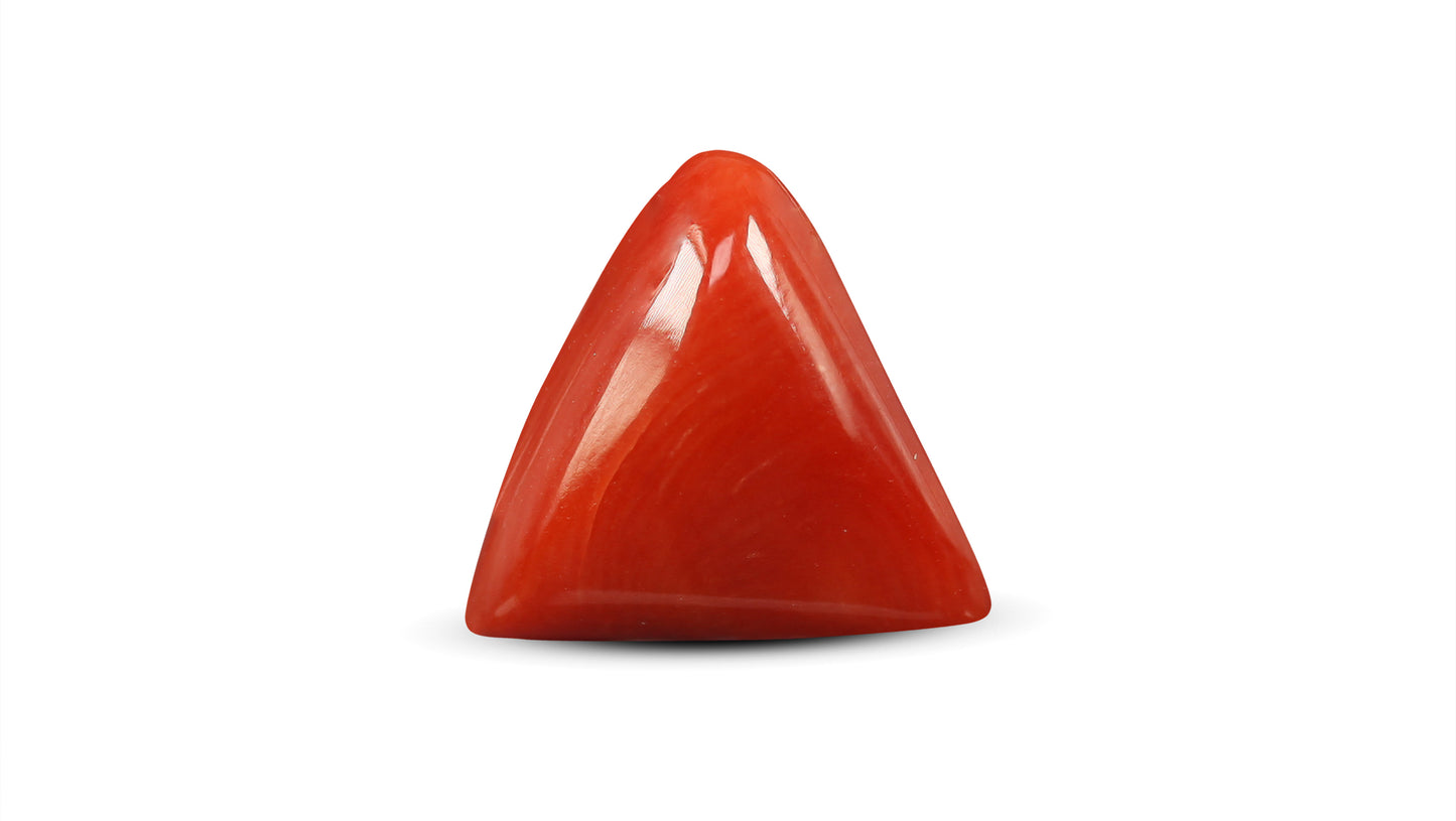 Natural Italian Red Coral (Moonga) 5.84 Carats