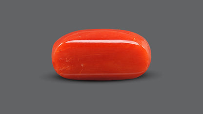 Natural Italian Red Coral (Moonga) 9.52 Carats