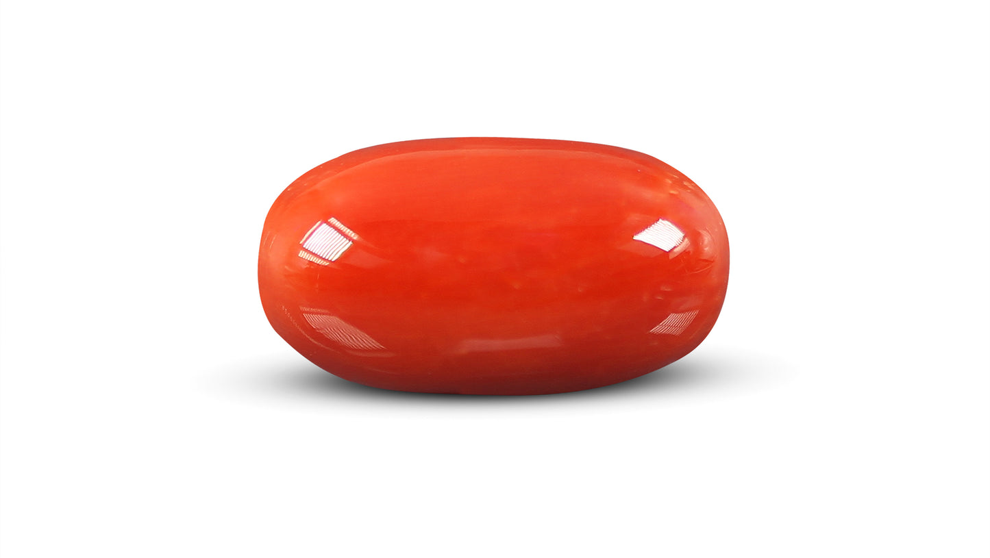 Natural Italian Red Coral (Moonga) 9.52 Carats