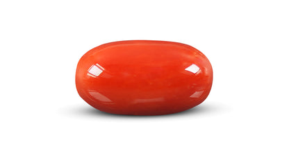 Natural Italian Red Coral (Moonga) 9.52 Carats