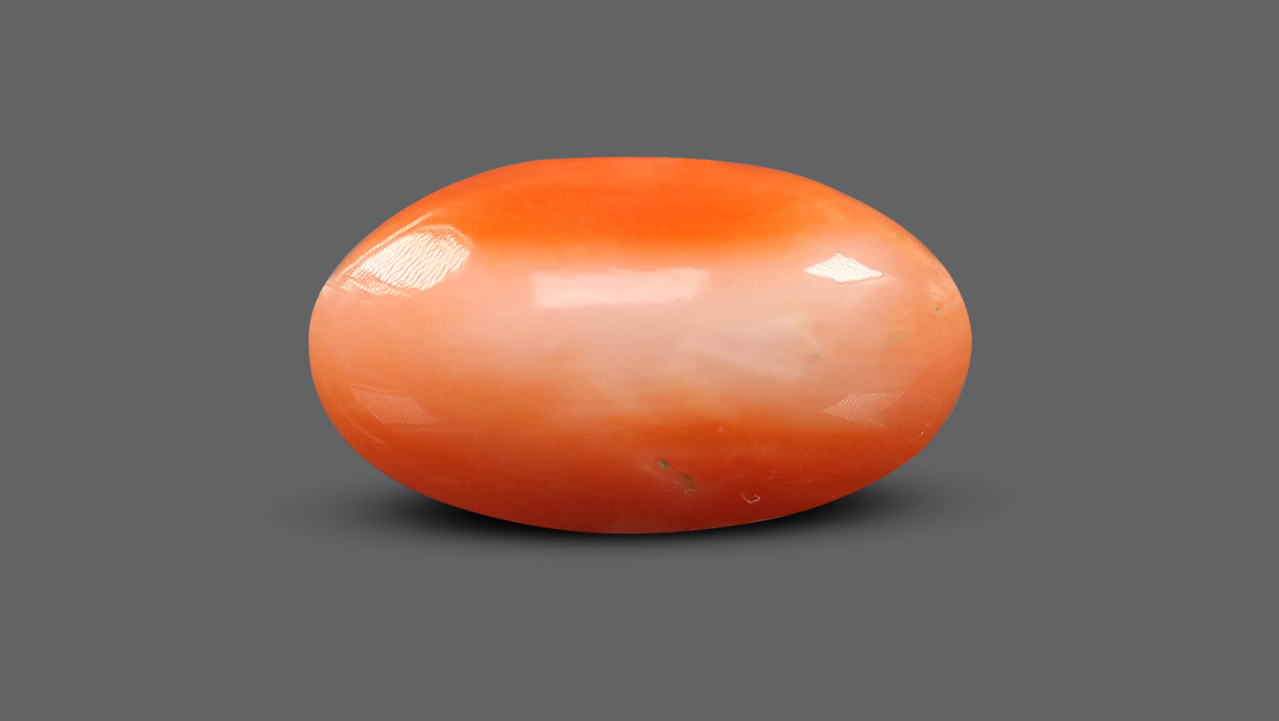 Japanese Red Coral (Moonga) 7.13 Carats