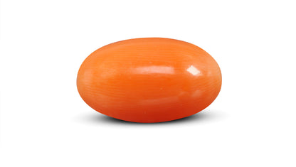 Japanese Red Coral (Moonga) 7.13 Carats