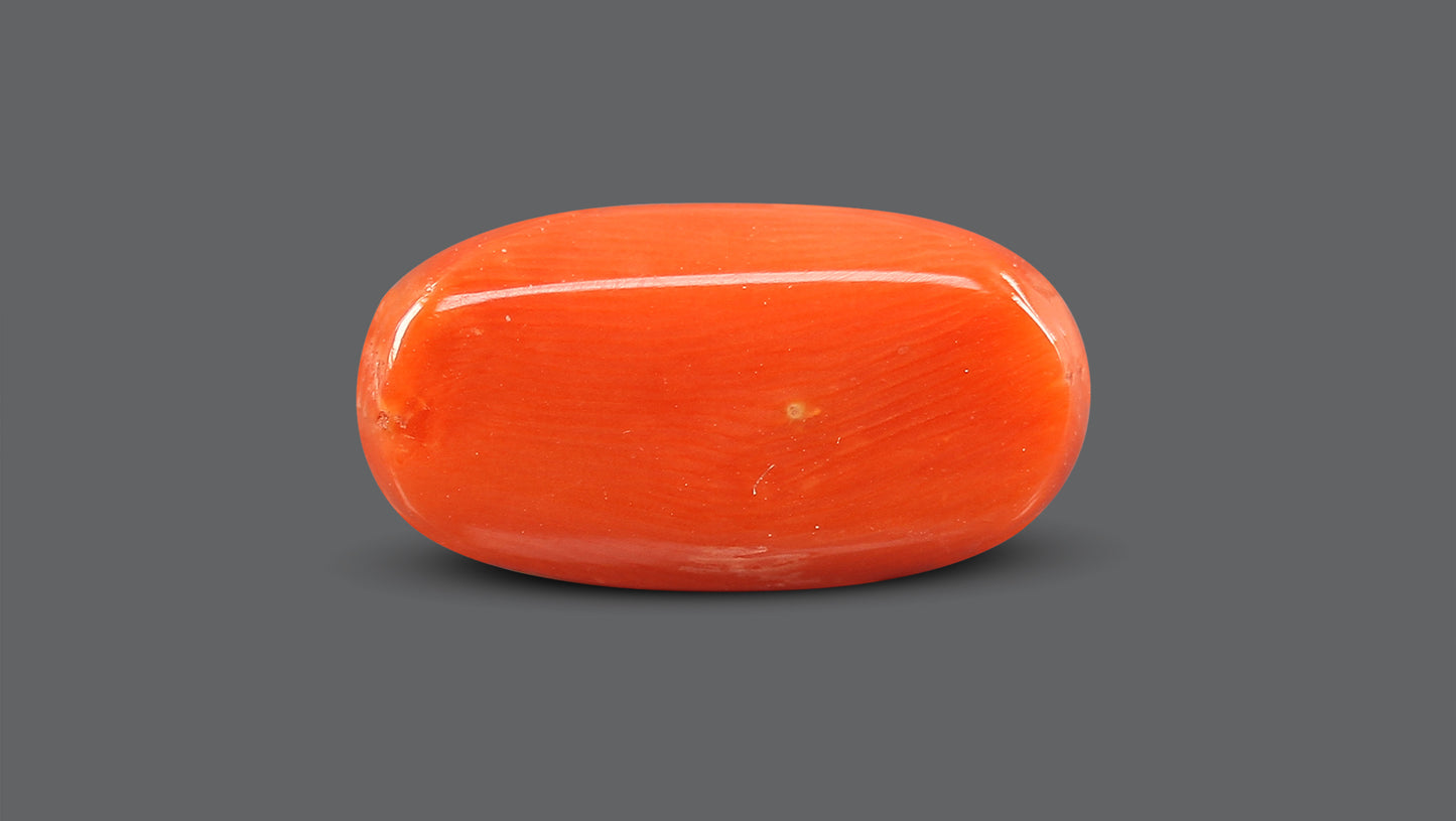 Natural Italian Red Coral (Moonga) 8.66 Carats