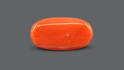 Natural Italian Red Coral (Moonga) 8.66 Carats
