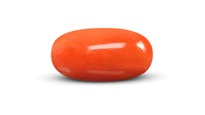 Natural Italian Red Coral (Moonga) 8.66 Carats