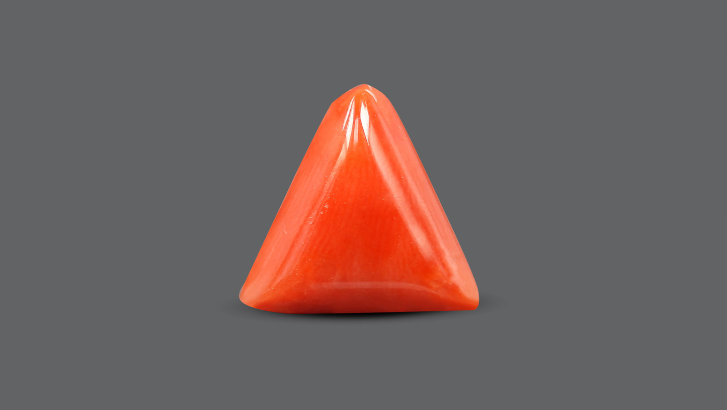 Natural Italian Red Coral (Moonga) 7.58 Carats