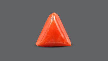 Natural Italian Red Coral (Moonga) 7.58 Carats