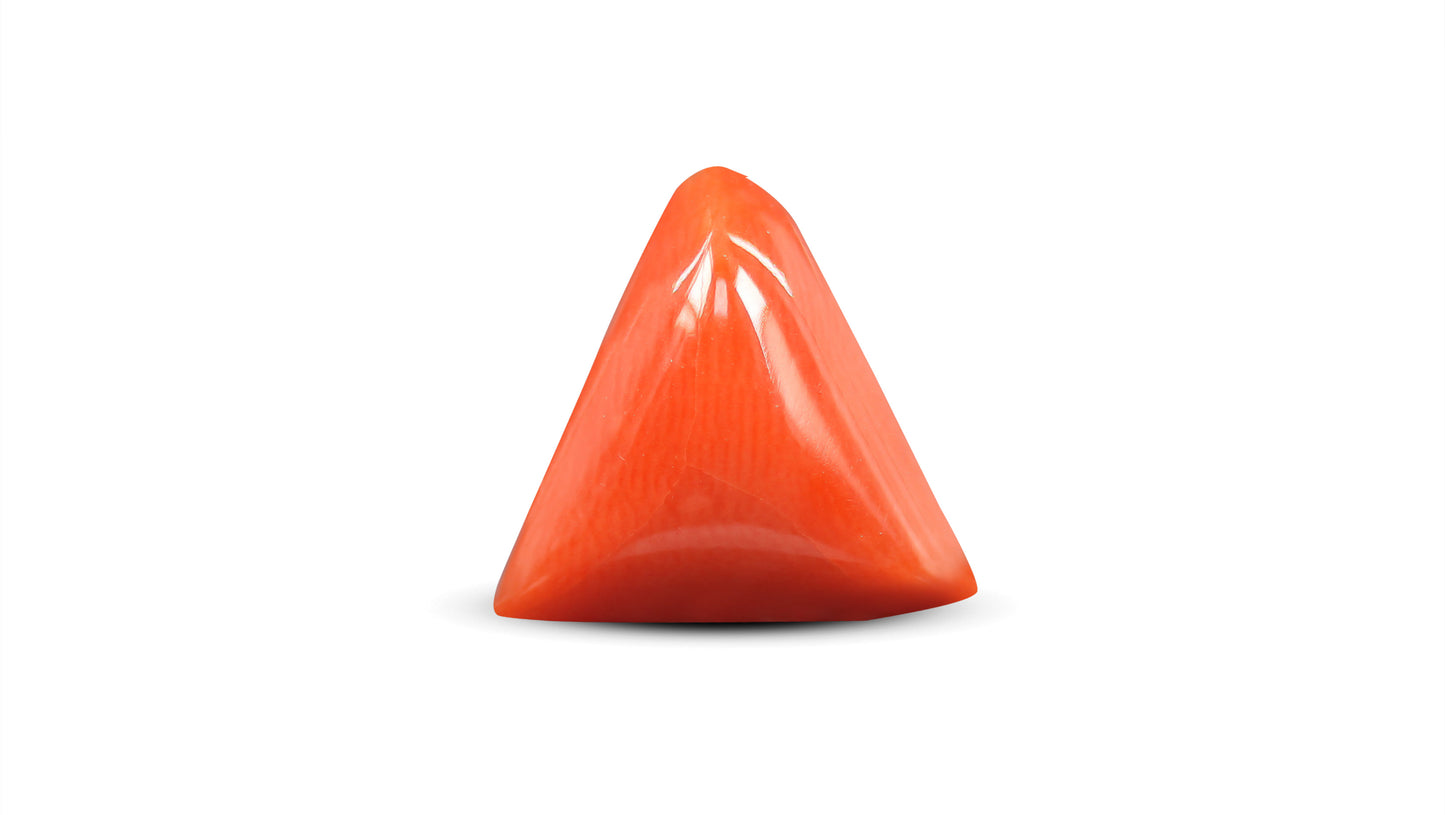 Natural Italian Red Coral (Moonga) 7.58 Carats