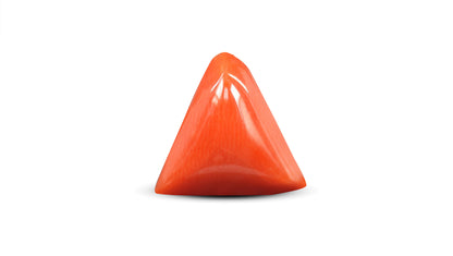 Natural Italian Red Coral (Moonga) 7.58 Carats