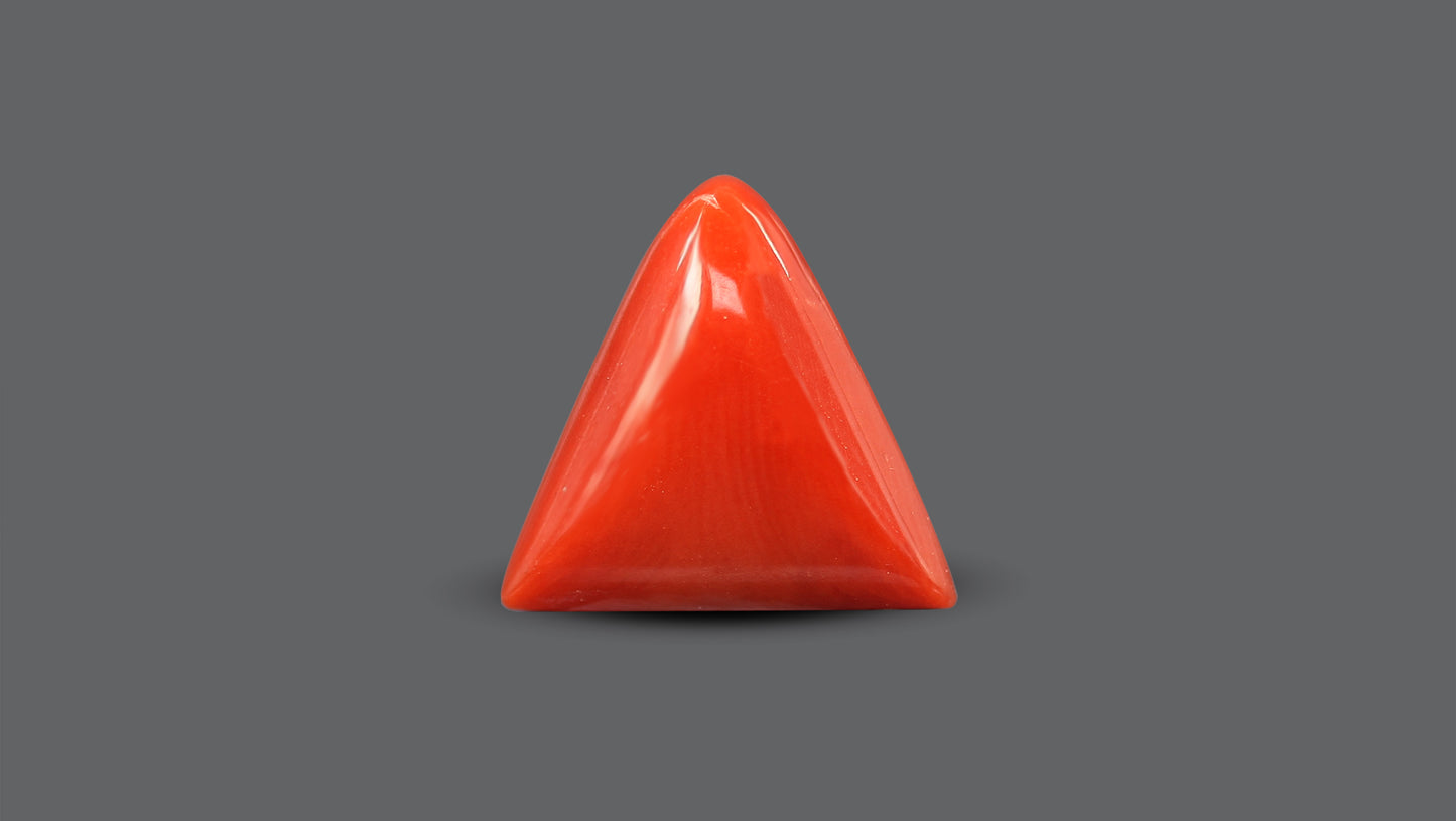 Natural Italian Red Coral (Moonga) 7.58 Carats
