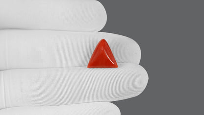 Natural Italian Red Coral (Moonga) 7.58 Carats