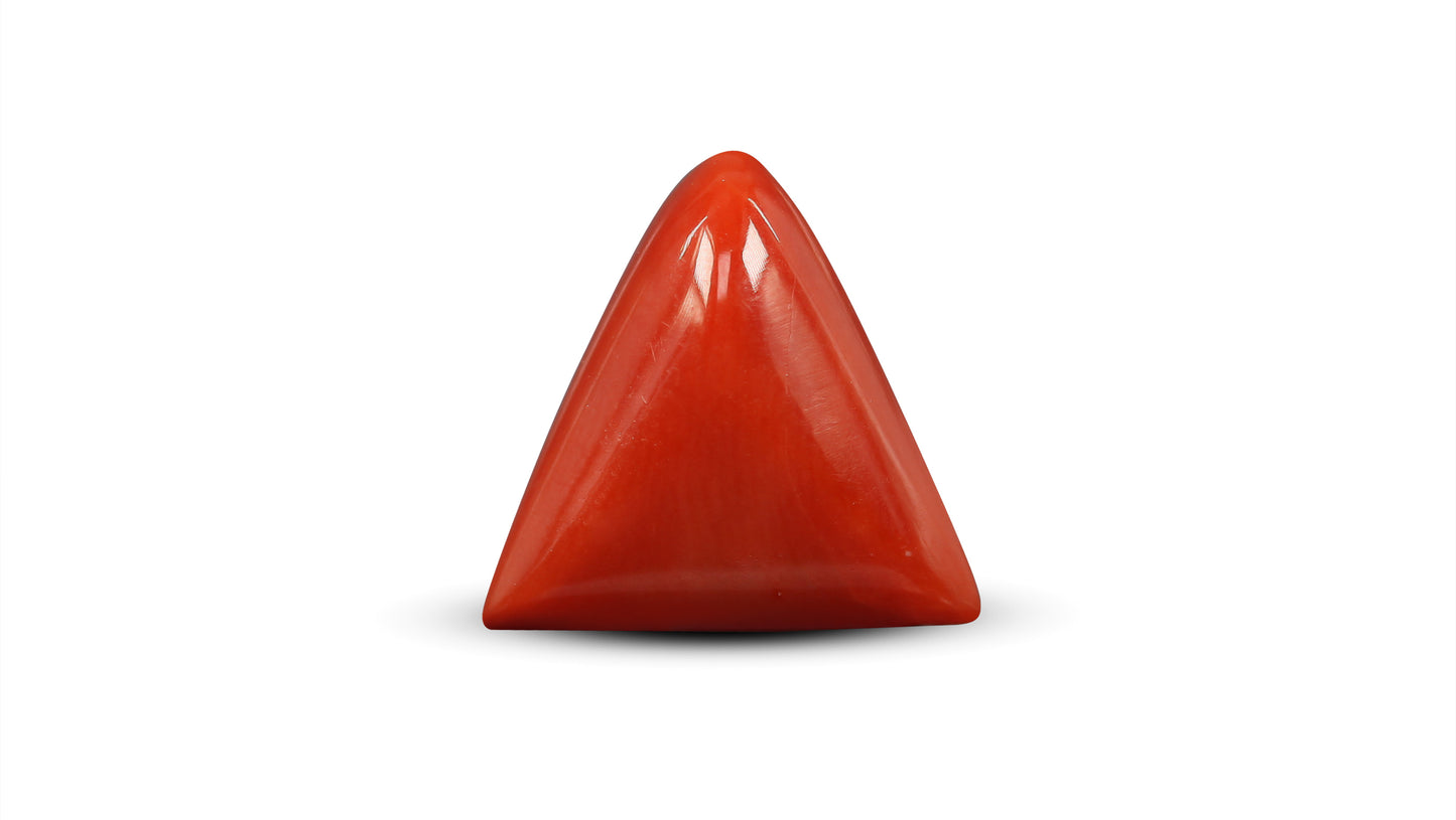 Natural Italian Red Coral (Moonga) 7.58 Carats