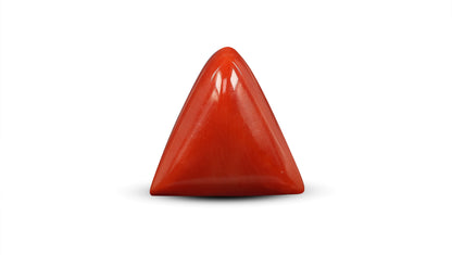 Natural Italian Red Coral (Moonga) 7.58 Carats