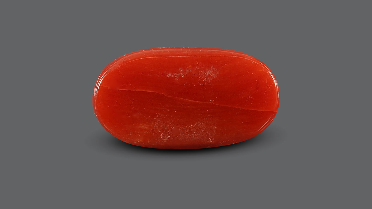 Natural Italian Red Coral (Moonga) 7.63 Carats