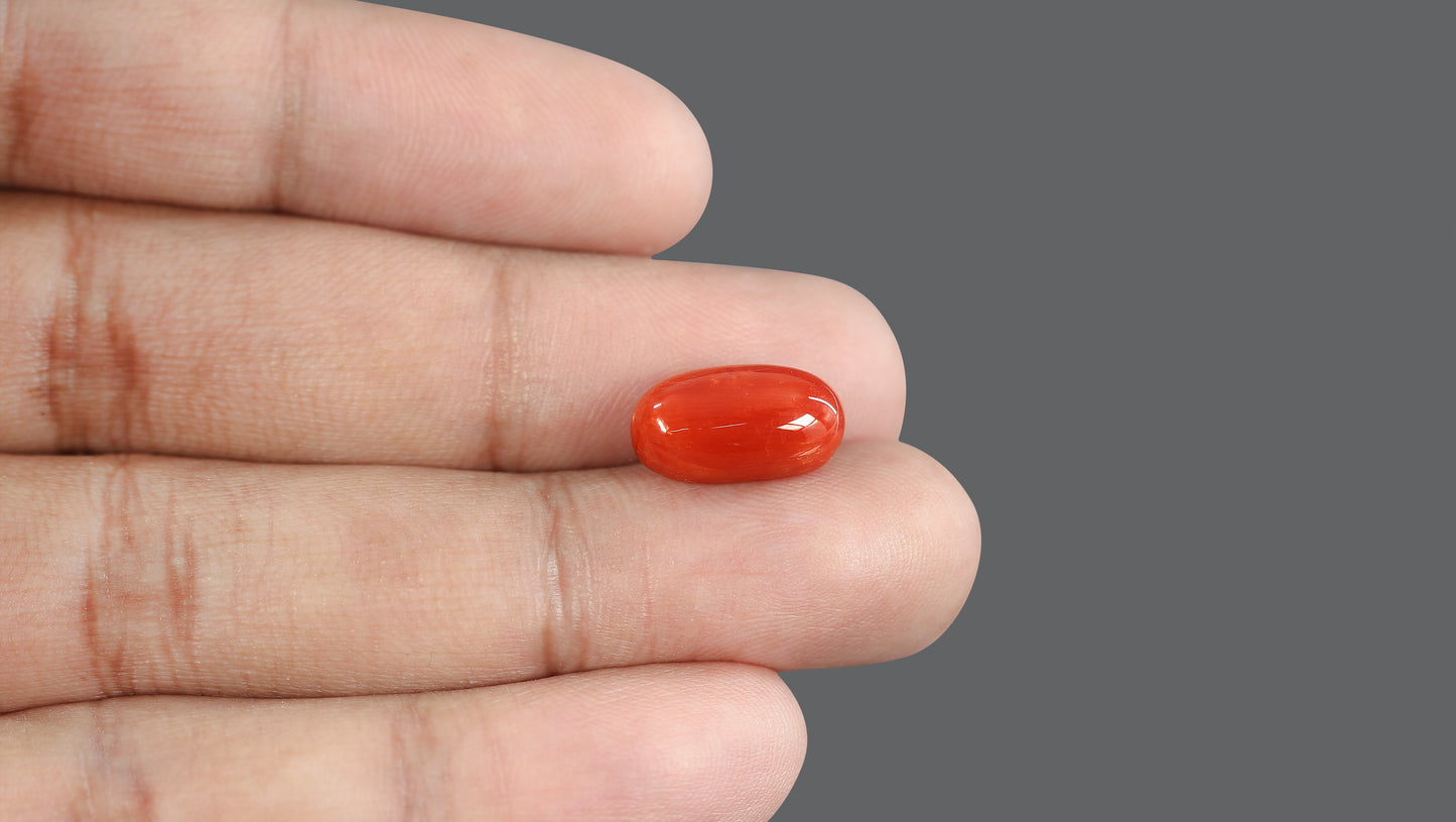 Natural Italian Red Coral (Moonga) 7.63 Carats