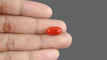 Natural Italian Red Coral (Moonga) 7.63 Carats