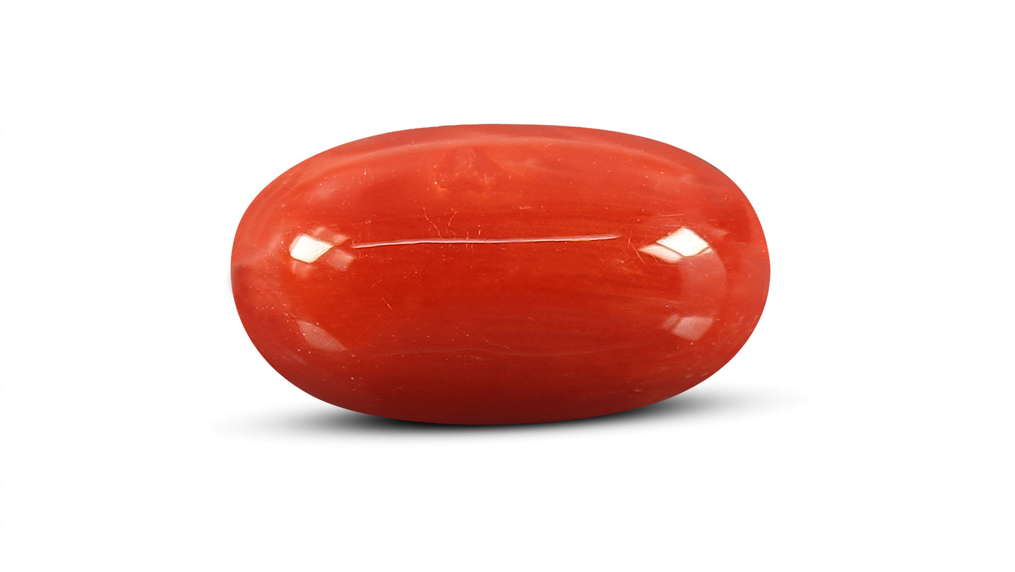 Natural Italian Red Coral (Moonga) 7.63 Carats