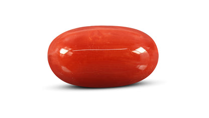 Natural Italian Red Coral (Moonga) 7.63 Carats