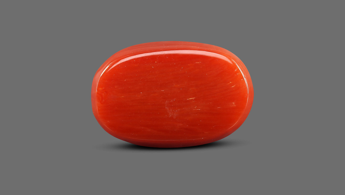 Natural Italian Red Coral (Moonga) 15.75 Carats