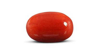 Natural Italian Red Coral (Moonga) 15.75 Carats