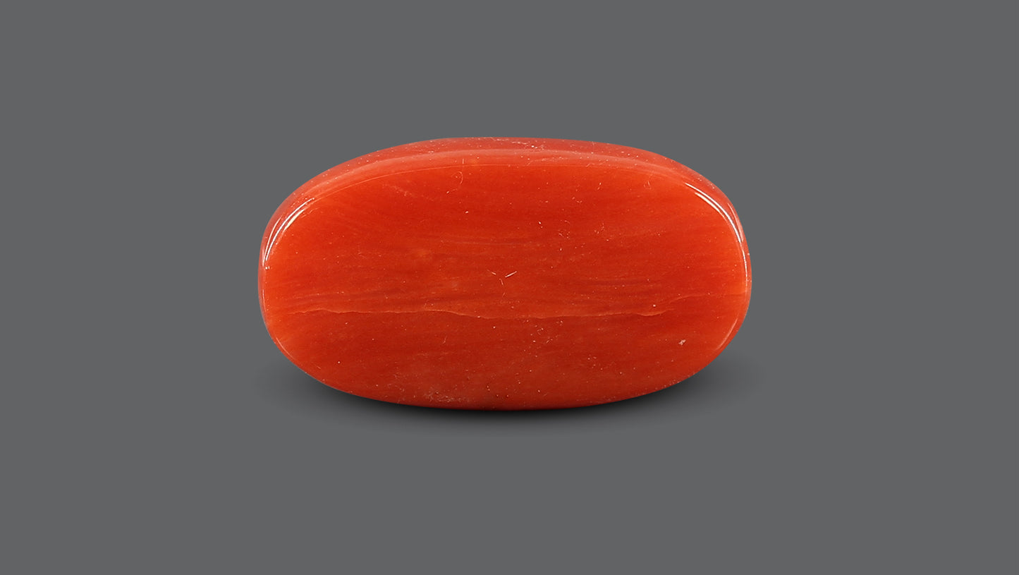 Natural Italian Red Coral (Moonga) 7.82 Carats