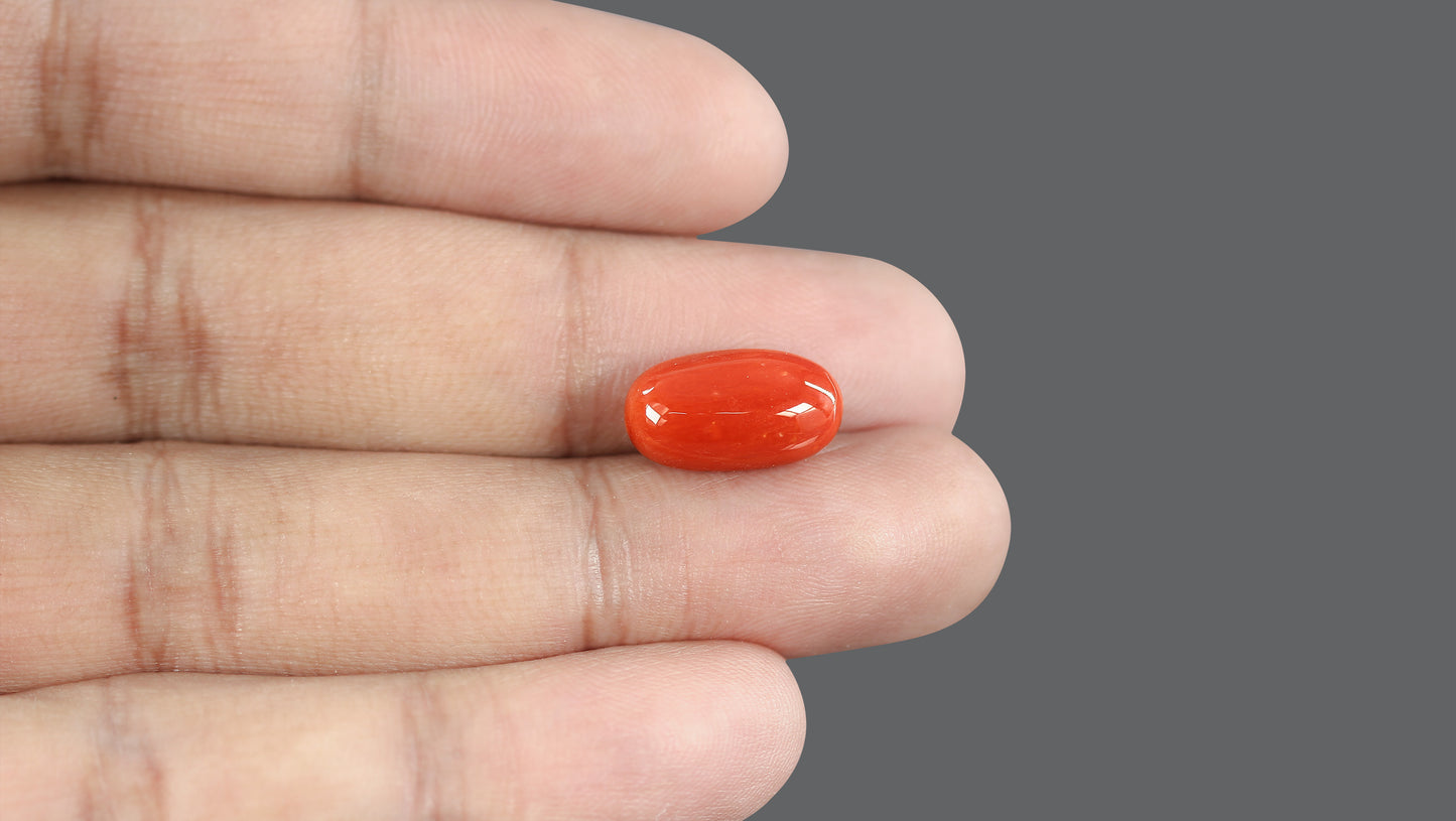 Natural Italian Red Coral (Moonga) 7.82 Carats